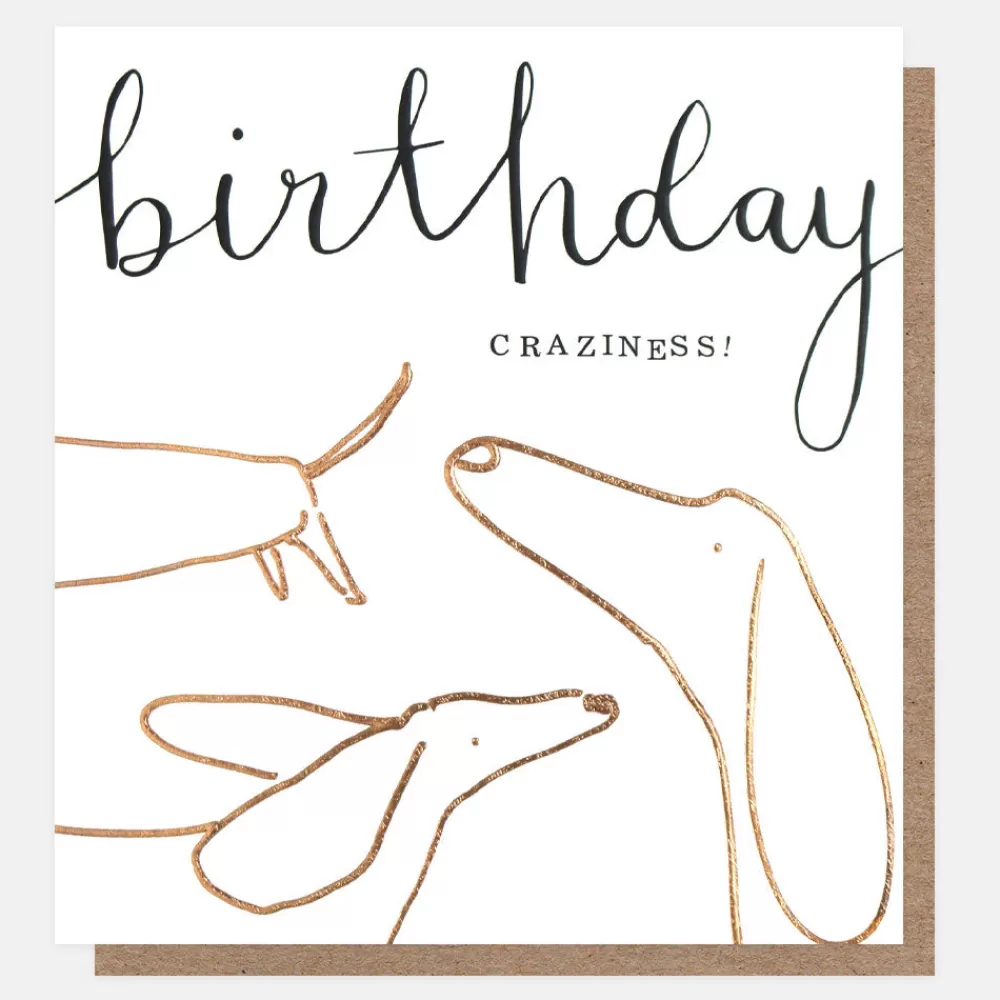 Crazy Dogs Birthday Card>Caroline Gardner Flash Sale