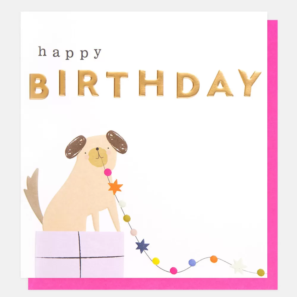 Dog On Present Birthday Card>Caroline Gardner Best Sale