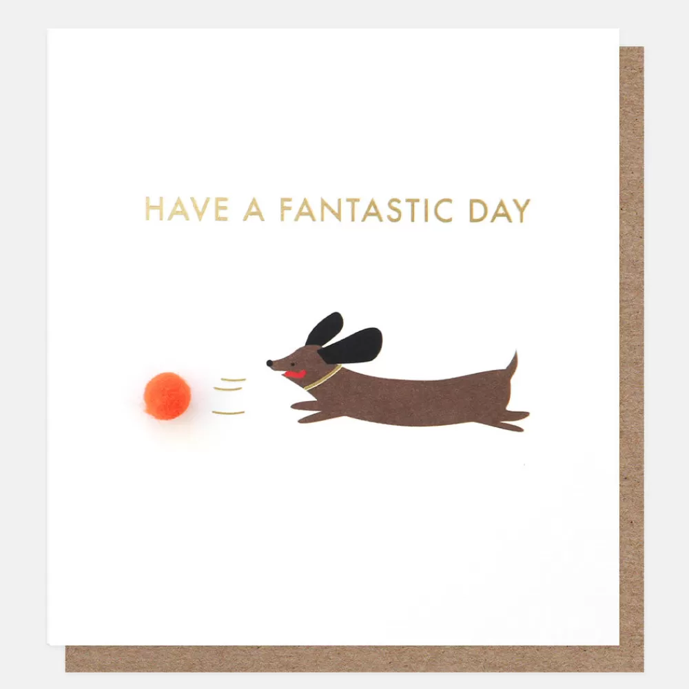 Mini Poms Sausage Dog Birthday Card>Caroline Gardner Best Sale