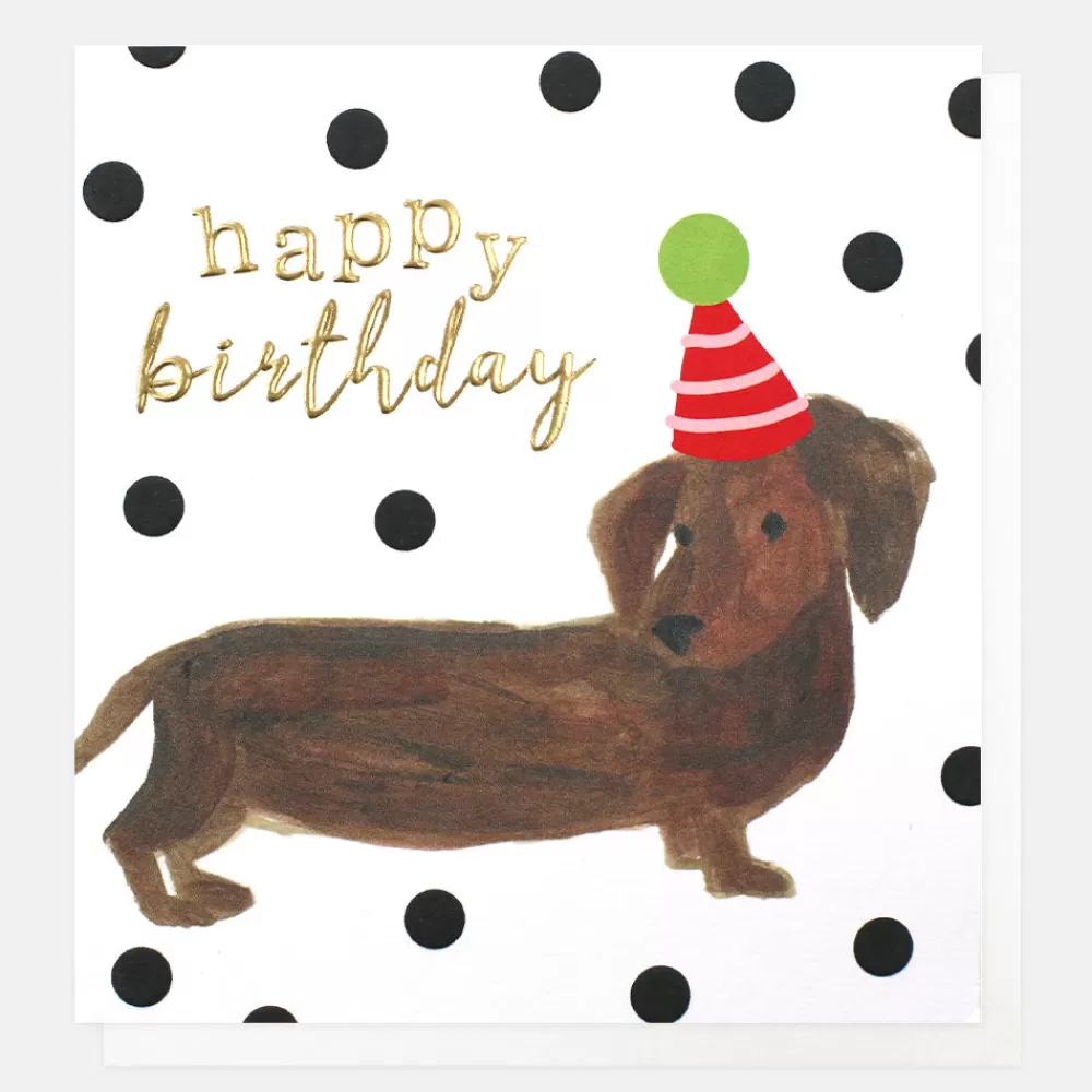 Painted Sausage Dog Birthday Card>Caroline Gardner Online