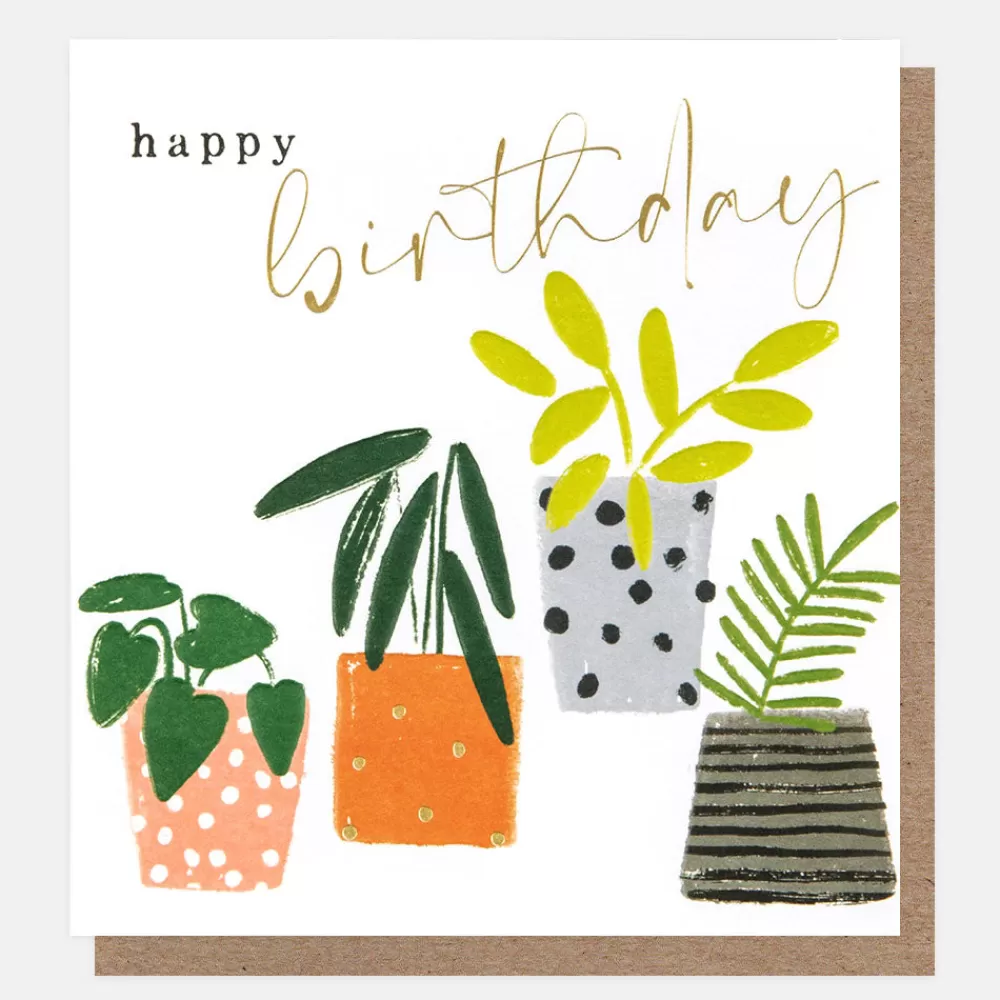 Patterned Plant Pots Birthday Card>Caroline Gardner Clearance