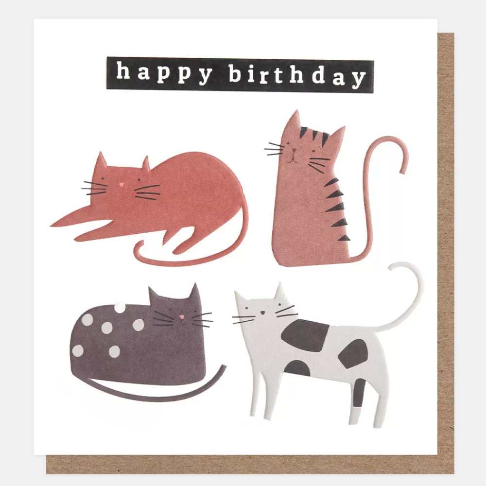 Posing Cats Happy Birthday Card>Caroline Gardner Flash Sale