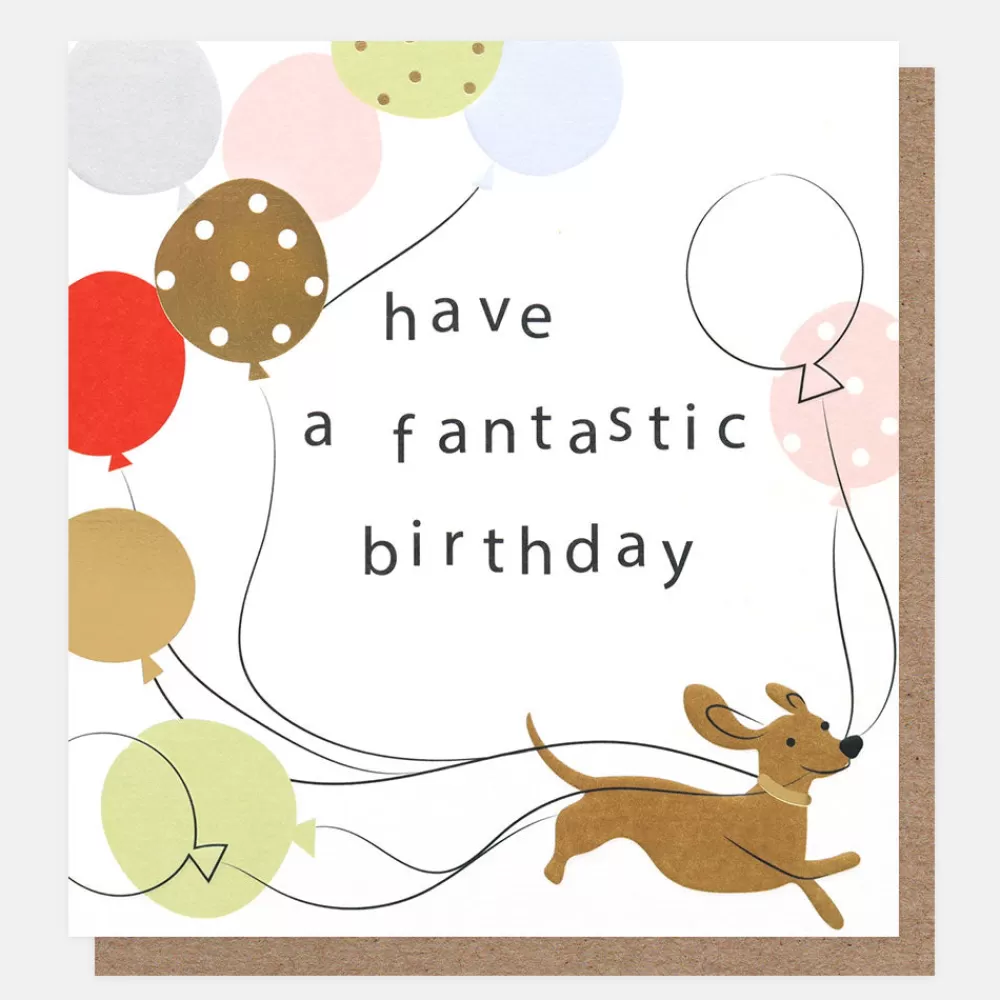 Sausage Dog Have A Fantastic Birthday Card>Caroline Gardner Shop